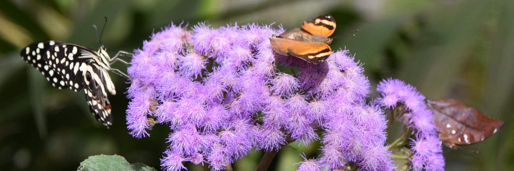 Temps libre