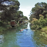 Il respiro della natura