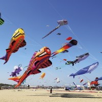 La Cervia degli eventi