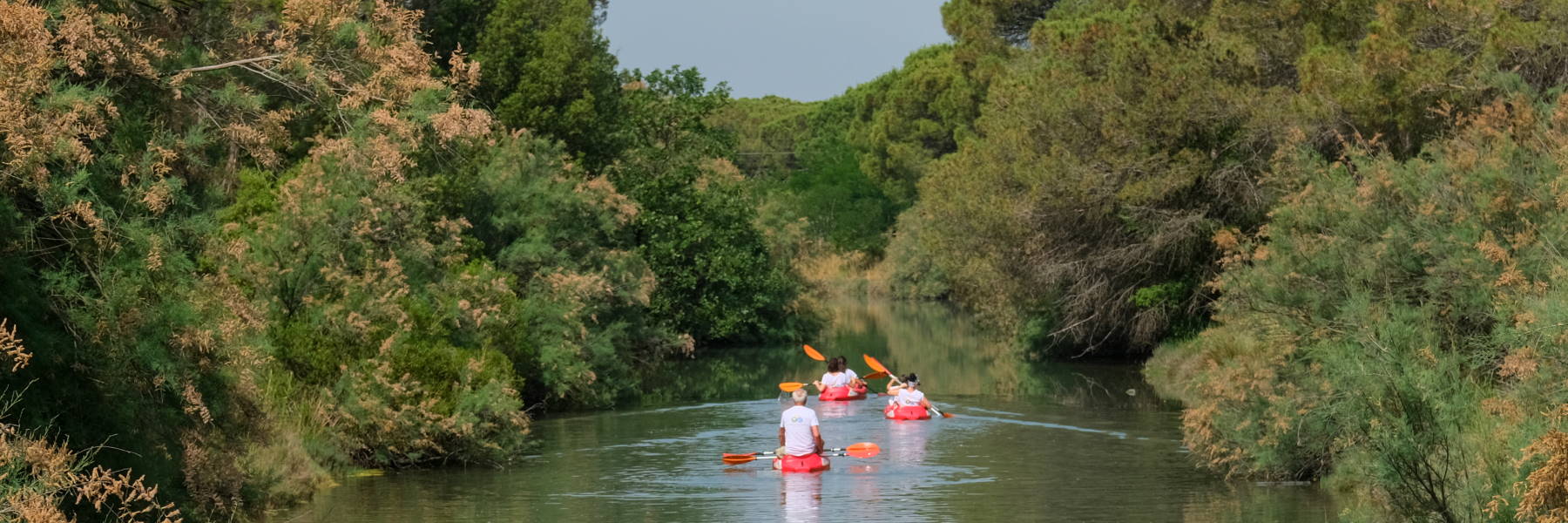 Canoa