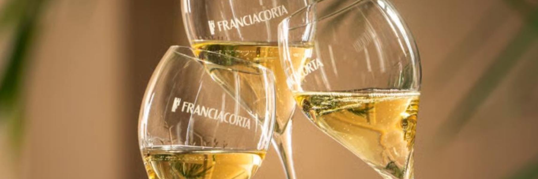 Franciacorta Experience