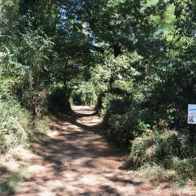 Le domeniche al Parco