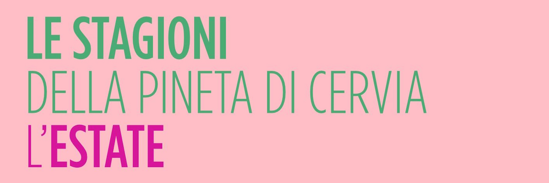 Le stagioni della Pineta di Cervia - L'estate