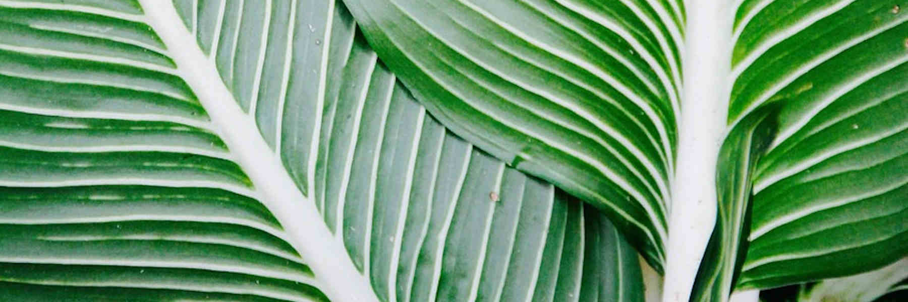 Nutrire il Futuro. Sapori, storie, visioni