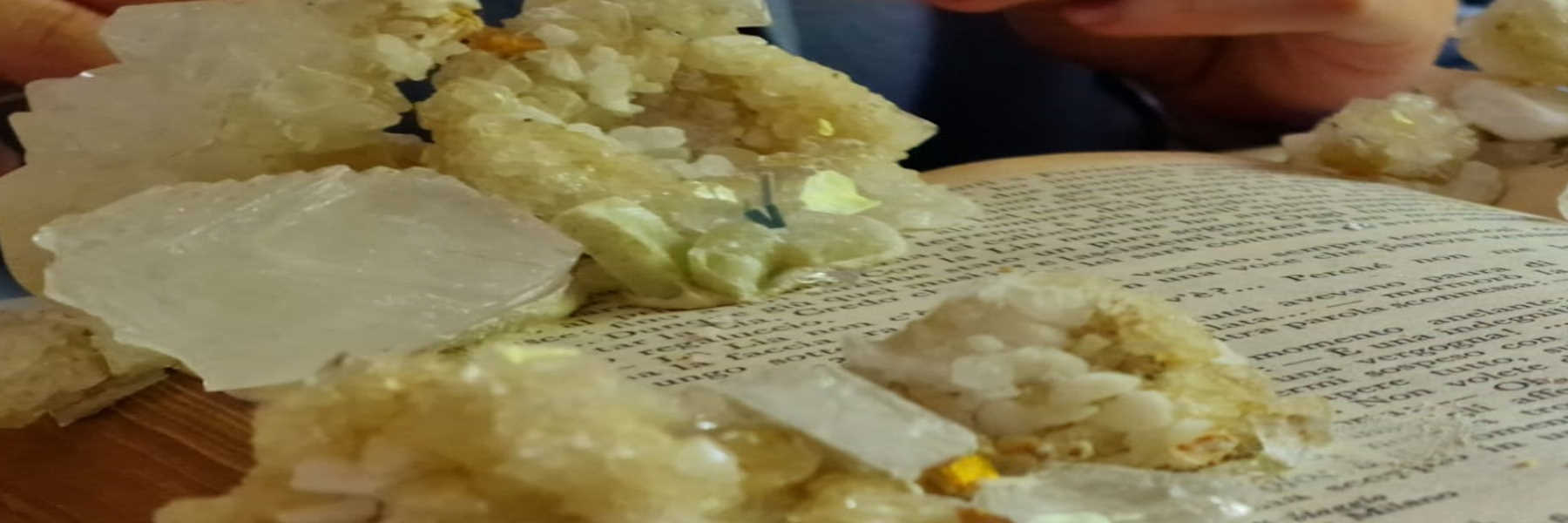 Illeggibili, libri d'artista