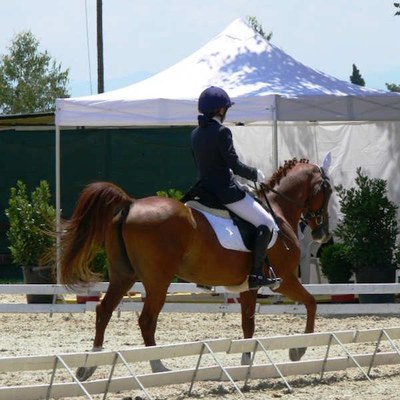 Coppa delle Regioni Dressage e Campionato delle Scuole Dressage