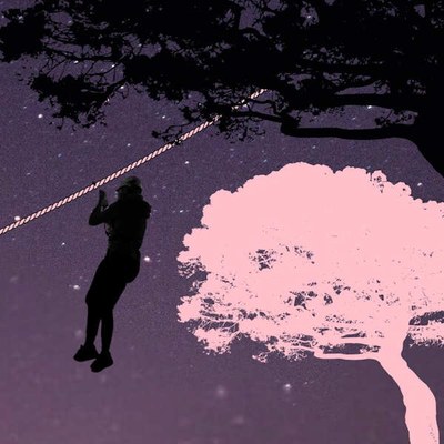 Notte stellata tra i Pini