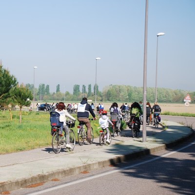 Sciame di biciclette