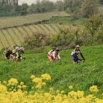 Strade bianche del sale