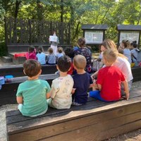 “Cervia città giardino” sboccia in omaggio a Dante