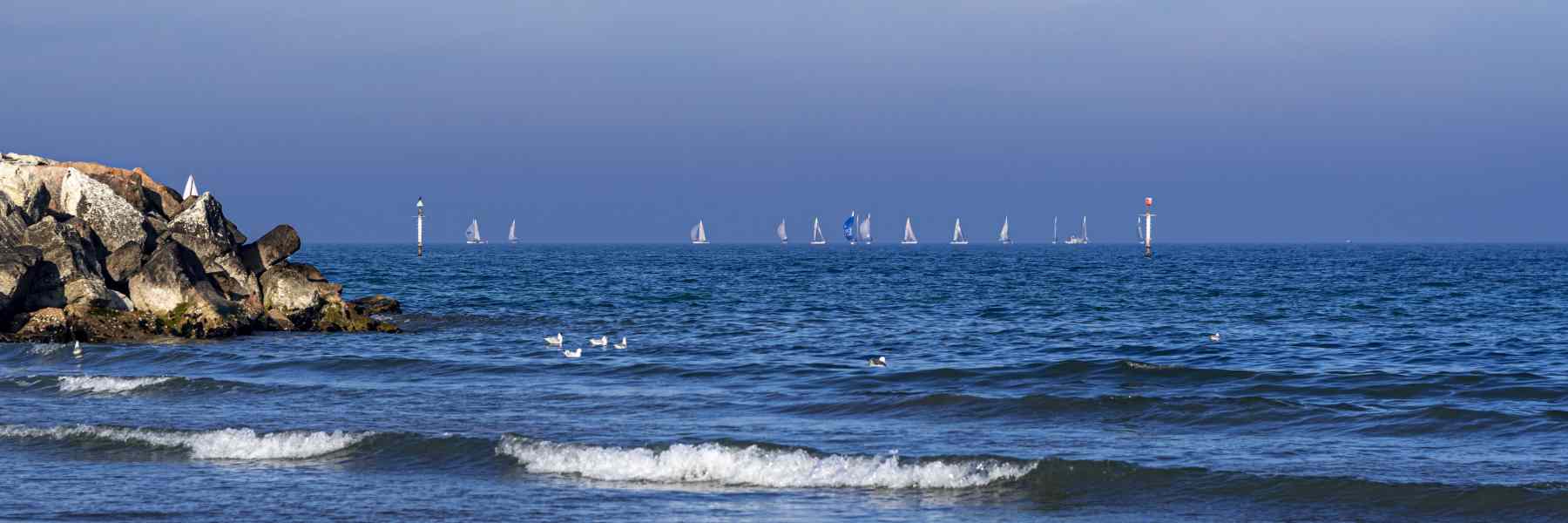 Analisi acque di balneazione del Comune di Cervia, luglio 2021