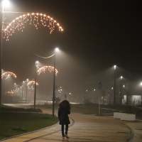 Il 13 Novembre , La Cooperativa bagnini di Cervia illumina per Natale il lungomare di Milano Marittima