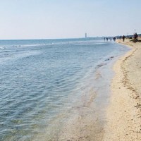 Analisi acque di balneazione del comune di Cervia, maggio 2021