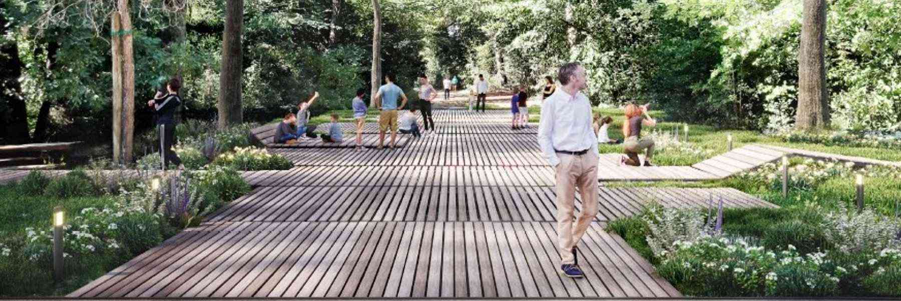 Le immagini del nuovo Parco Urbano di Milano Marittima proiettate all'ingresso della pineta
