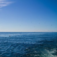 Analisi acque di balneazione del Comune di Cervia, giugno 2022
