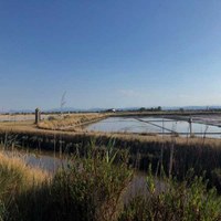 6 luglio: inaugurazione ingresso alla Salina Camillone