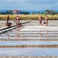 La Salina di Cervia, Patrimonio Immateriale UNESCO