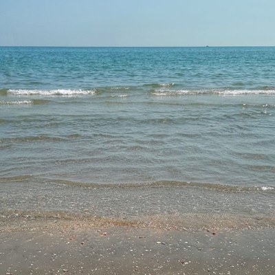 Analisi sulla qualità delle acque del mare, prelievo del 3 giugno 2025