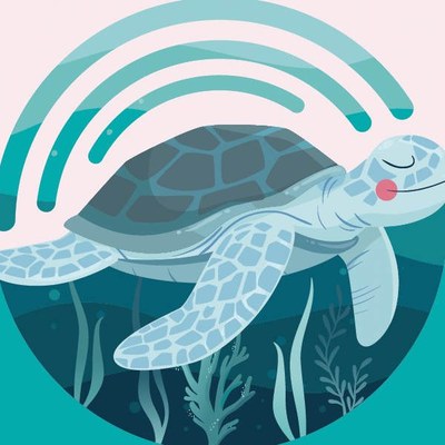 In viaggio con la tartaruga