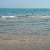 Analisi sulla qualità delle acque del mare, prelievo del 17 agosto 2026
