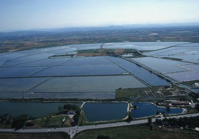 le-saline-di-Cervia Rid.jpg