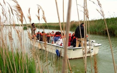 Parco Delta 480X 300