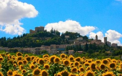 Bertinoro 480X300