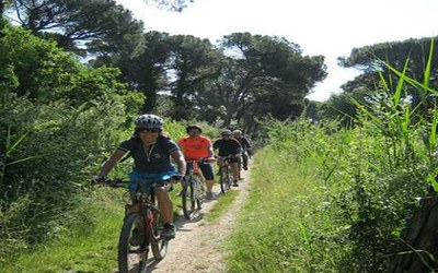 Cervia bike