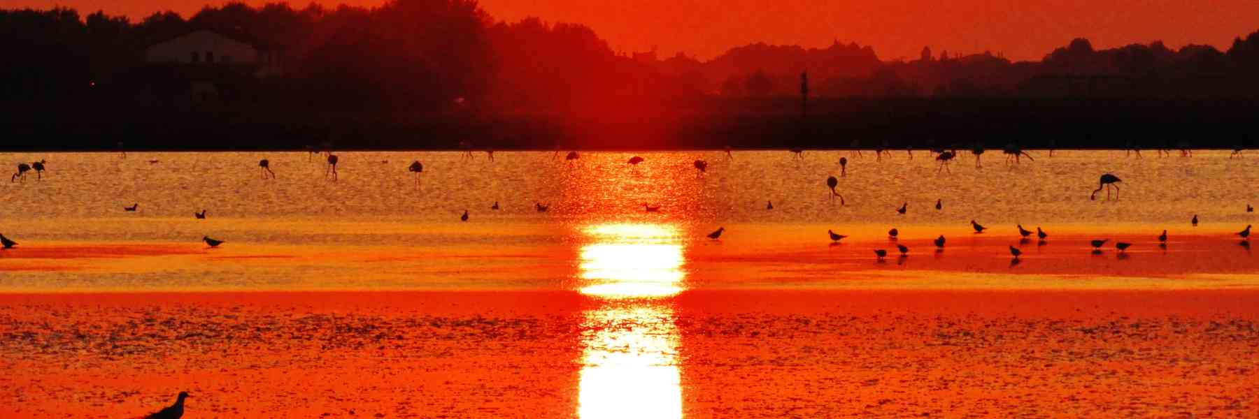 La Salina di Cervia