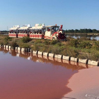 Salina, speciale raccolta di sale in trenino