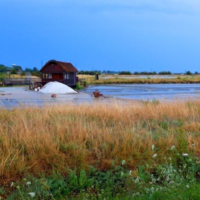 Visite guidate alla Salina Camillone 