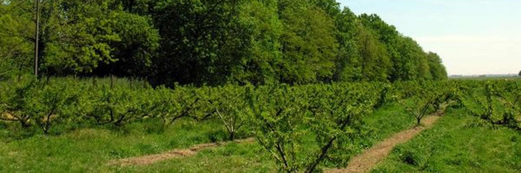 Giornate FAI d'Autunno